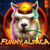 Funny Alpaca
