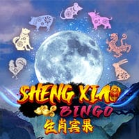 Sheng Xiao Bingo