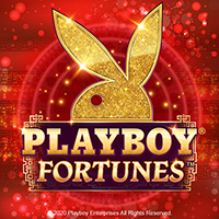 Playboy Fortunes ™