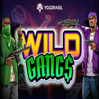 Wild Gangs