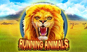 Running Animals