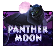 PantherMoon