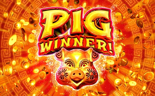 Pig Winner